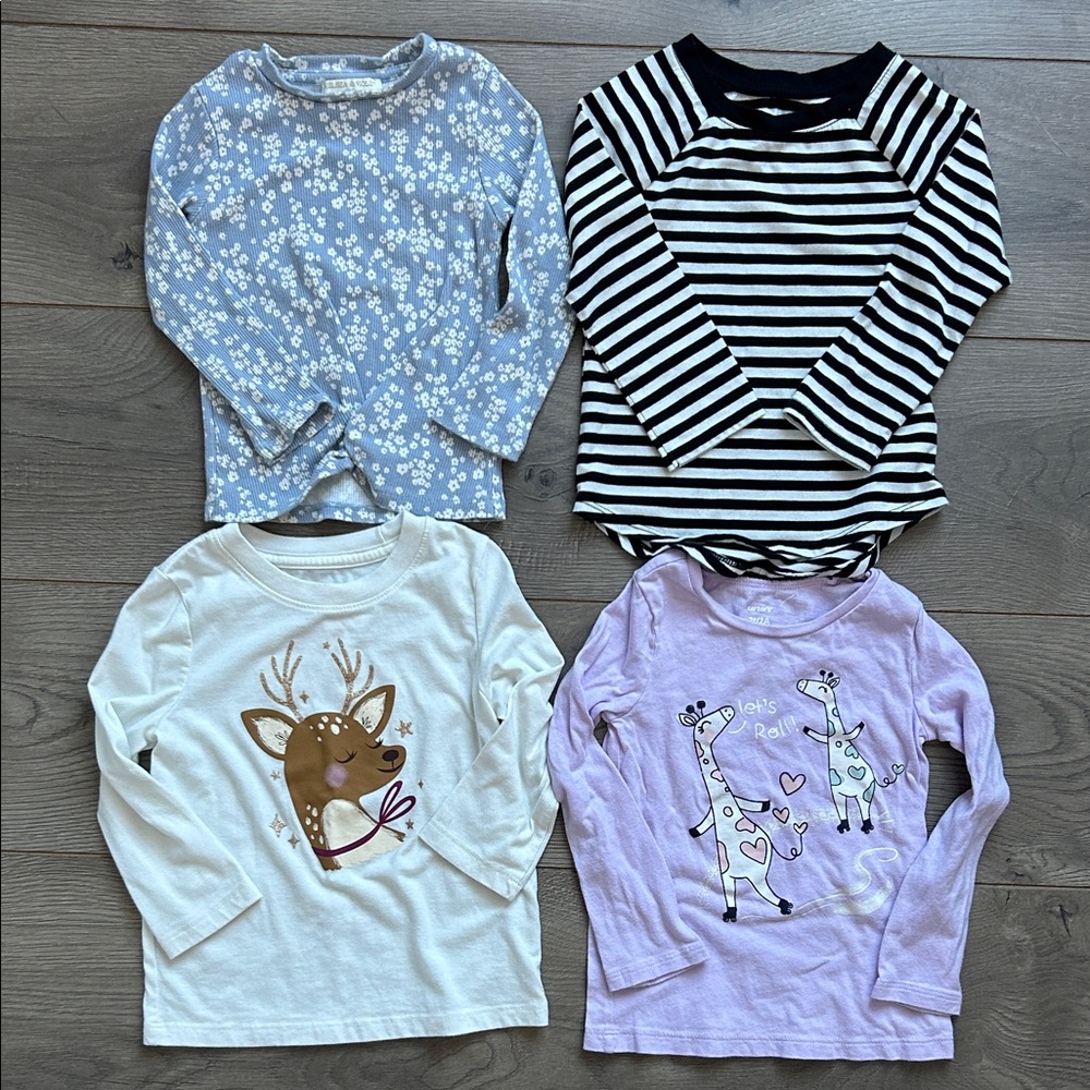 2T Long Sleeve Shirt Bundle - Cat & Jack, Carters